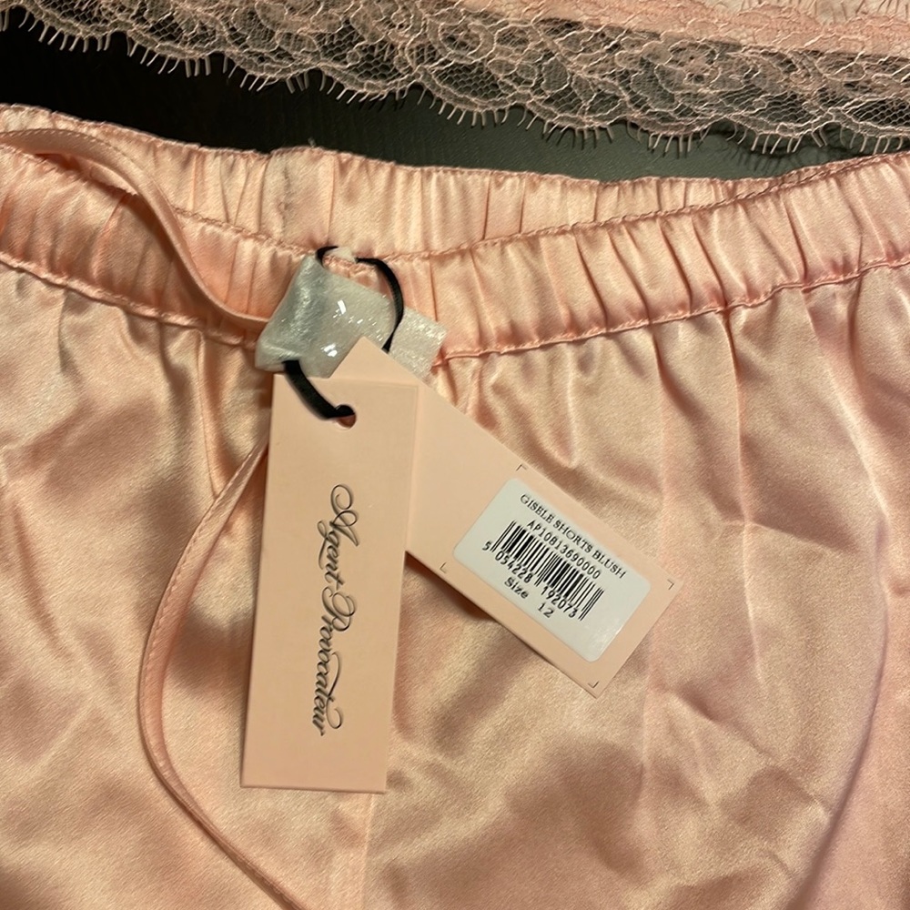 New with tags Gisele silk camisole (new $195) and shorts (new $180) size 12